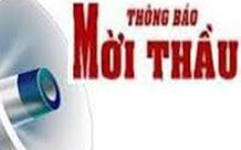 Chi nhánh công ty có đủ tư cách khi tham gia đấu thầu?