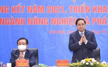 Xuất khẩu nông, lâm, thủy sản lập kỷ lục, tiến sát mốc 50 tỷ USD