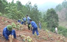 Căn cứ tính lương làm thêm giờ tại doanh nghiệp Nhà nước