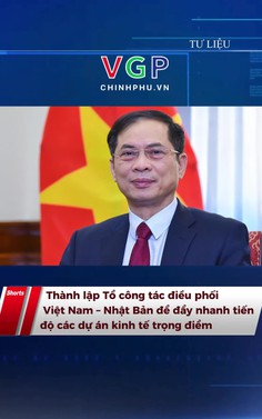 Thành lập Tổ công tác điều phối Việt Nam – Nhật Bản để đẩy nhanh tiến độ các dự án kinh tế trọng điểm