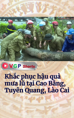 Khắc phục hậu quả mưa lũ tại Cao Bằng, Tuyên Quang, Lào Cai