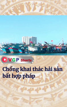 Chống khai thác hải sản bất hợp pháp