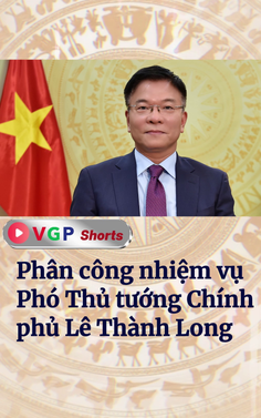 Phân công nhiệm vụ Phó Thủ tướng Chính phủ Lê Thành Long 