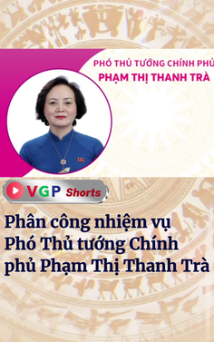 Phân công nhiệm vụ Phó Thủ tướng Chính phủ Phạm Thị Thanh Trà 