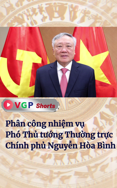 Phân công nhiệm vụ Phó Thủ tướng Thường trực Chính phủ Nguyễn Hòa Bình