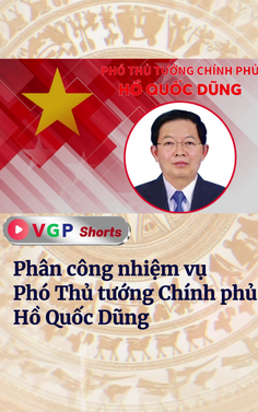 Phân công nhiệm vụ Phó Thủ tướng Chính phủ Hồ Quốc Dũng