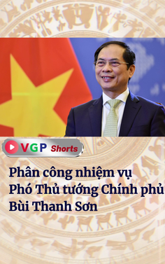 Phân công nhiệm vụ Phó Thủ tướng Chính phủ Bùi Thanh Sơn
