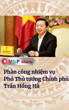 Phân công nhiệm vụ Phó Thủ tướng Chính phủ Trần Hồng Hà