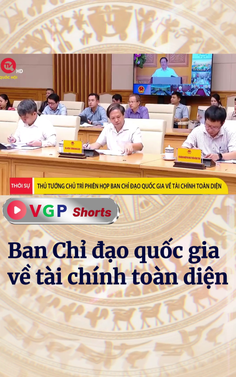 Ban Chỉ đạo quốc gia về tài chính toàn diện