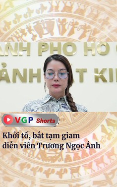Khởi tố, bắt tạm giam diễn viên Trương Ngọc Ánh