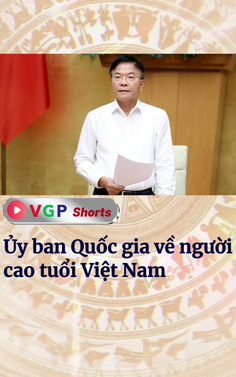 Ủy ban Quốc gia về người cao tuổi Việt Nam