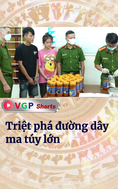 Triệt phá đường dây ma túy lớn