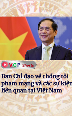 Ban Chỉ đạo về chống tội phạm mạng và các sự kiện liên quan tại Việt Nam