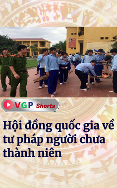 Hội đồng quốc gia về tư pháp người chưa thành niên