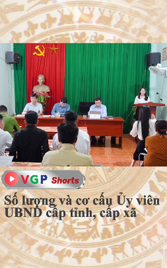 Số lượng và cơ cấu Ủy viên UBND cấp tỉnh, cấp xã