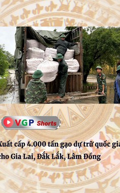 Xuất cấp 4.000 tấn gạo dự trữ quốc gia cho Gia Lai, Đắk Lắk, Lâm Đồng