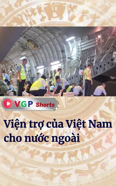 Viện trợ của Việt Nam cho nước ngoài