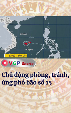 Chủ động phòng, tránh, ứng phó bão số 15