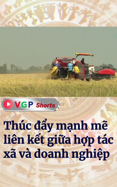 Thúc đẩy mạnh mẽ liên kết giữa hợp tác xã và doanh nghiệp