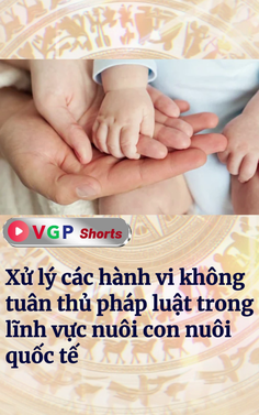 Xử lý các hành vi không tuân thủ pháp luật trong lĩnh vực nuôi con nuôi quốc tế