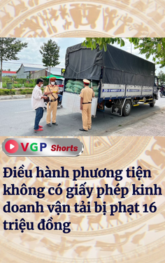 Điều hành phương tiện không có giấy phép kinh doanh vận tải bị phạt 16 triệu đồng