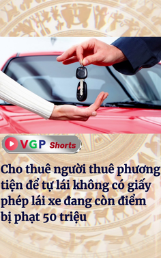 Cho thuê người thuê tự lái không có giấy phép lái xe đang còn điểm bị phạt 50 triệu 