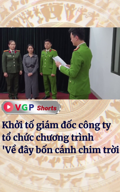 Khởi tố giám đốc công ty tổ chức chương trình 'Về đây bốn cánh chim trời'