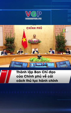 Thành lập Ban Chỉ đạo của Chính phủ về cải cách thủ tục hành chính