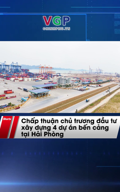 Chấp thuận chủ trương đầu tư xây dựng 4 dự án bến cảng tại Hải Phòng
