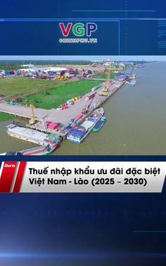 Thuế nhập khẩu ưu đãi đặc biệt Việt Nam - Lào (2025 – 2030)