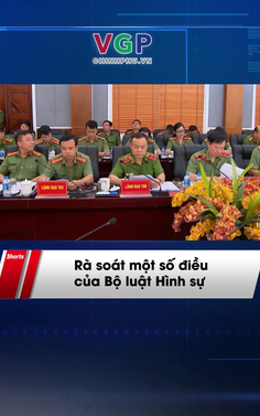 Rà soát một số điều của Bộ luật Hình sự