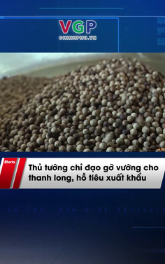 Gỡ vướng cho thanh long, hồ tiêu xuất khẩu