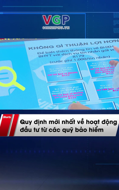 Quy định mới nhất về hoạt động đầu tư từ các quỹ bảo hiểm