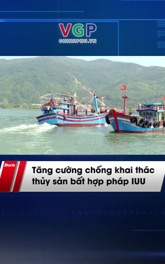 Tăng cường chống khai thác thủy sản bất hợp pháp IUU
