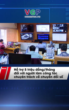 Mức hỗ trợ đối với người làm công tác chuyên trách về chuyển đổi số