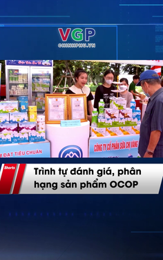 Trình tự đánh giá,  phân hạng sản phẩm OCOP