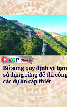 Quy định chi tiết thi hành một số điều của Luật Lâm nghiệp