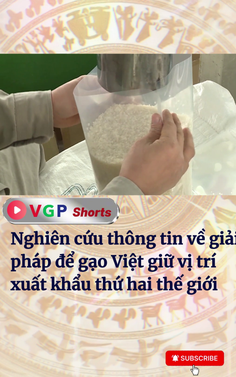 Giải pháp để xuất khẩu gạo giữ vị trí thứ hai thế giới