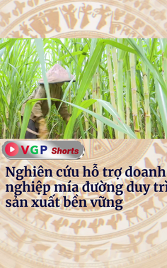 Nghiên cứu hỗ trợ doanh nghiệp mía đường duy trì sản xuất bền vững