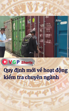 Quy định mới về hoạt động kiểm tra chuyên ngành