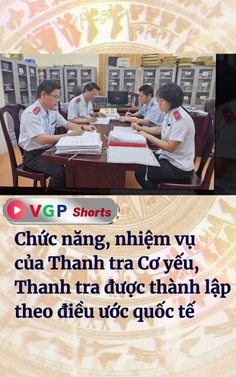 Chức năng, nhiệm vụ của Thanh tra Cơ yếu, Thanh tra được thành lập theo điều ước quốc tế