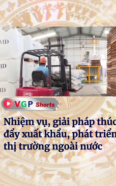 Nhiệm vụ, giải pháp thúc đẩy xuất khẩu, phát triển thị trường ngoài nước