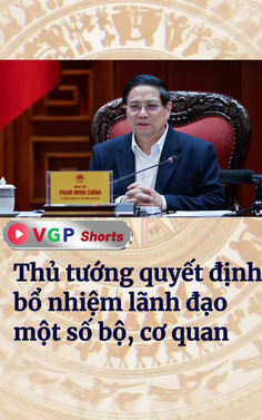 Thủ tướng quyết định bổ nhiệm lãnh đạo một số bộ, cơ quan