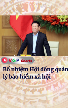Bổ nhiệm Hội đồng quản lý bảo hiểm xã hội