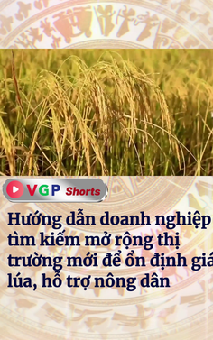 Tìm kiếm mở rộng thị trường mới để ổn định giá lúa, hỗ trợ nông dân