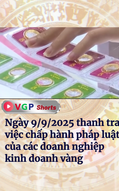Thanh tra các doanh nghiệp kinh doanh vàng