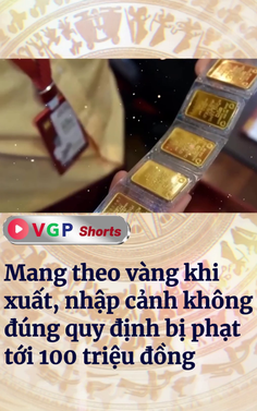 Mang theo vàng khi xuất, nhập cảnh không đúng quy định bị phạt tới 100 triệu đồng