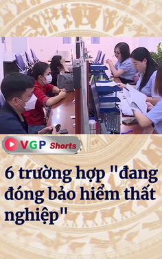 6 trường hợp được xác định "đang đóng bảo hiểm thất nghiệp"