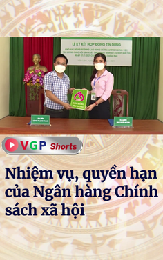 Nhiệm vụ, quyền hạn của Ngân hàng Chính sách xã hội