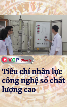 Tiêu chí nhân lực công nghệ số chất lượng cao